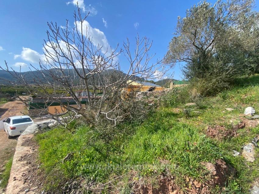 Seferihisar Doğanbey Kavakdere De Satılık 300 M2 Kupon Arsa