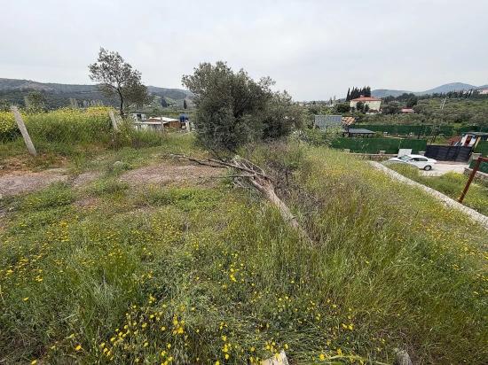 Seferihisar Doğanbey Kavakdere De Satılık 300 M2 Kupon Arsa