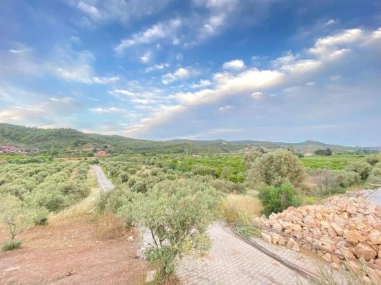 Seferihisar Doğanbey Kavakdere De Satılık 300 M2 Kupon Arsa