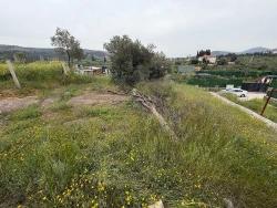 Seferihisar Kavakdere Mah. Satılık Bağ & Bahçe - Bağ & Bahçe İmar Durumlu - 300 m²